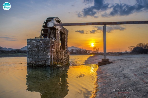 stock-photo-203031231