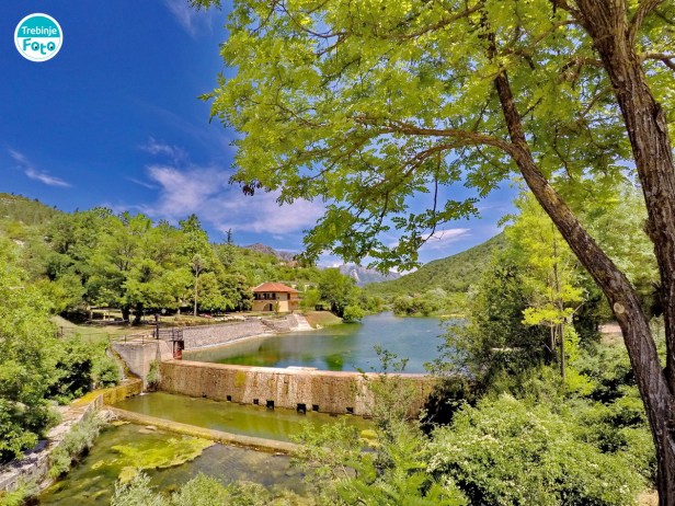 Trebinje Info Jazina Club