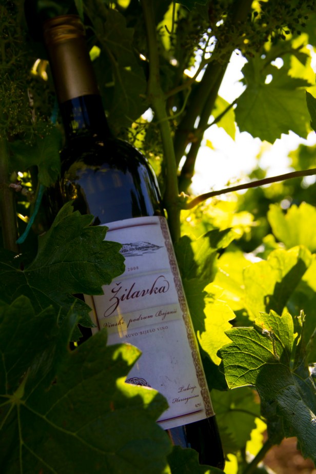 TREBINJE INFO FOTO VINARIJA PODRUM BOJANIĆ