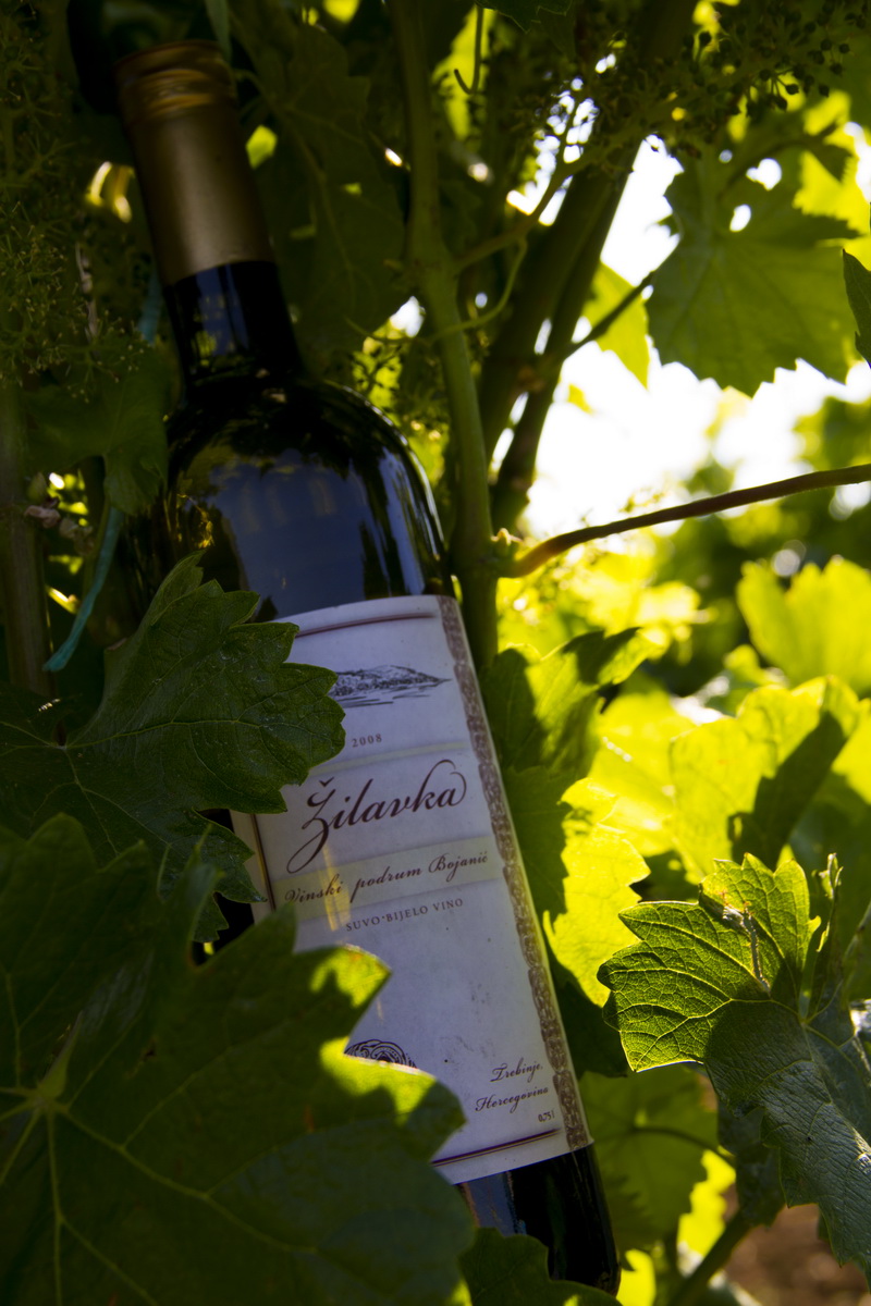 TREBINJE INFO FOTO VINARIJA PODRUM BOJANIĆ