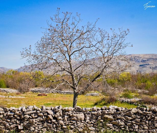 93513618_10163282787490297_5617838942817615872_o