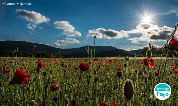 trebinje-foto selo ljubomir