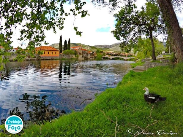 trebinje-info