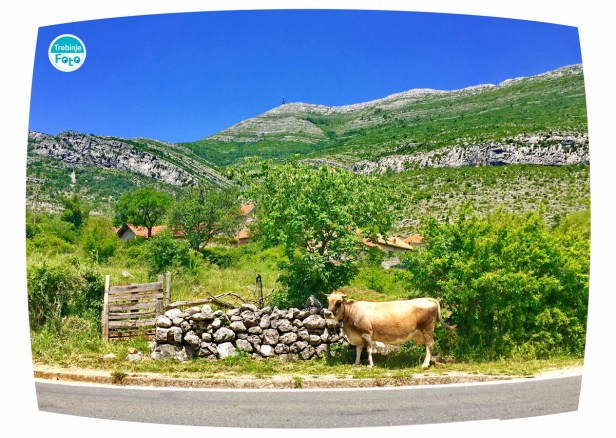 the adventures of m & k 