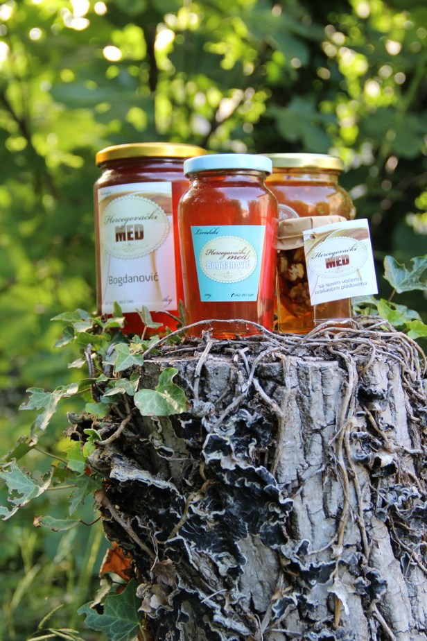 TREBINJE INFO FOTO MED