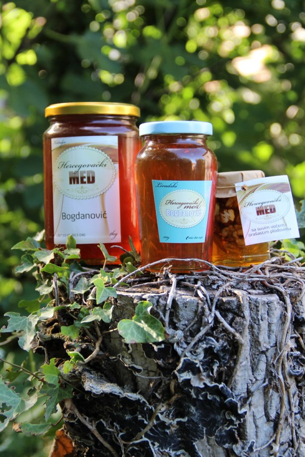 TREBINJE INFO FOTO MED 09