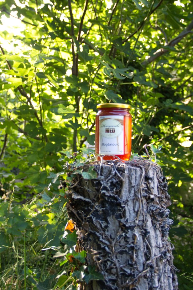 TREBINJE INFO FOTO MED