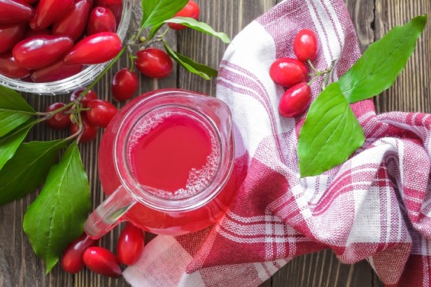 TREBINJE INFO FOTO DRENJINA dren SOK DRENOVNIK