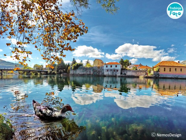 DCIM100GOPROGOPR2346.