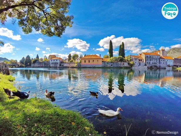 DCIM100GOPROGOPR2362.