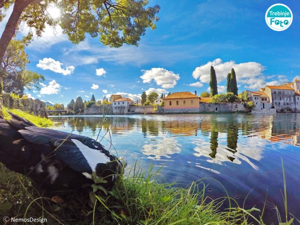 DCIM100GOPROGOPR2372.