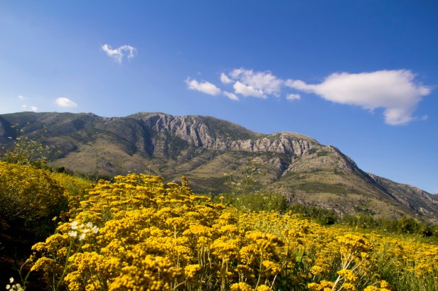 TREBINJE INFO SMILJE