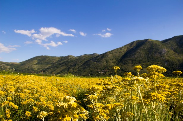 TREBINJE INFO SMILJE