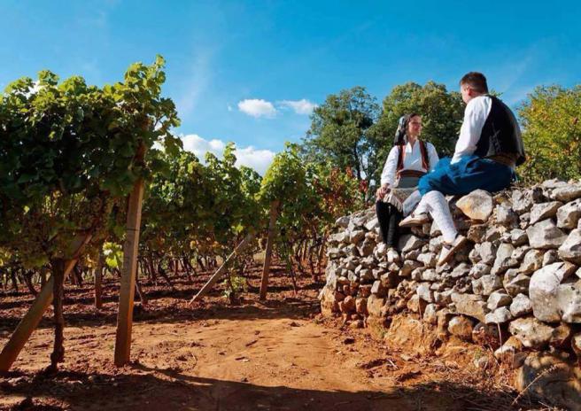 Trebinje-info-Hercegovina-California