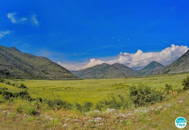 Hercegovina California