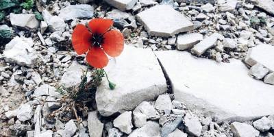 Trebinje Cvijet u kamenu 1