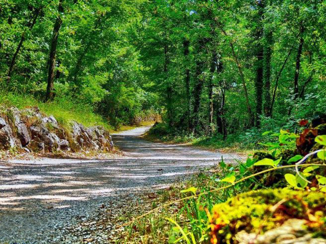 trebinje info grabovina i kamen