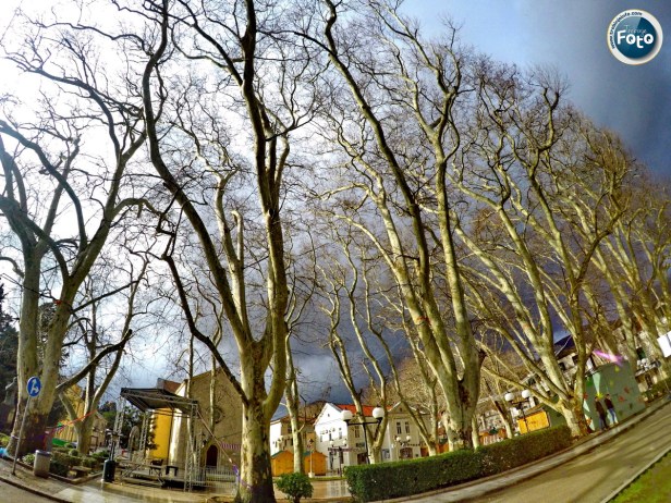 DCIM100GOPROGOPR2898.