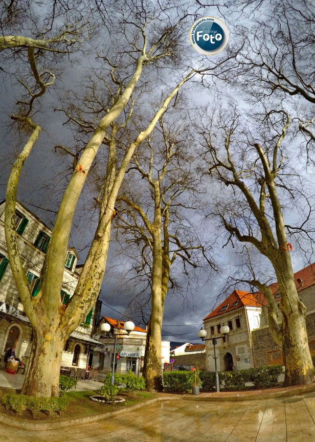 DCIM100GOPROGOPR2905.