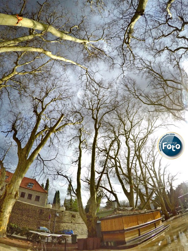 DCIM100GOPROGOPR2906.