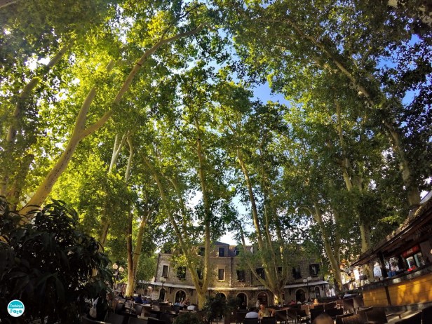 DCIM100GOPROGOPR8350.