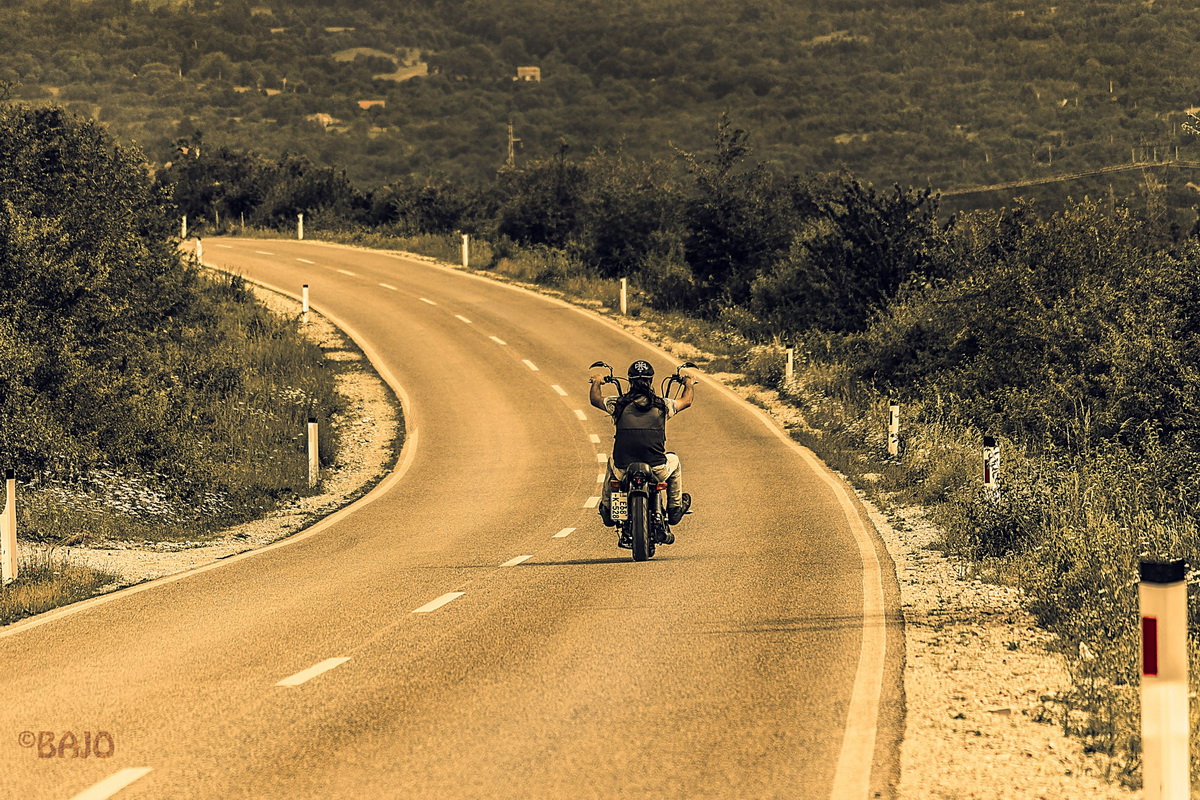 Freedom Ride Bajo Rogan