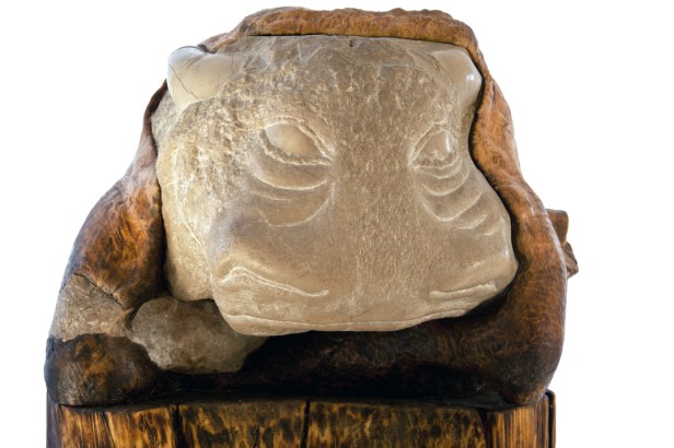 milivoje-bokic-trebinje-info 7