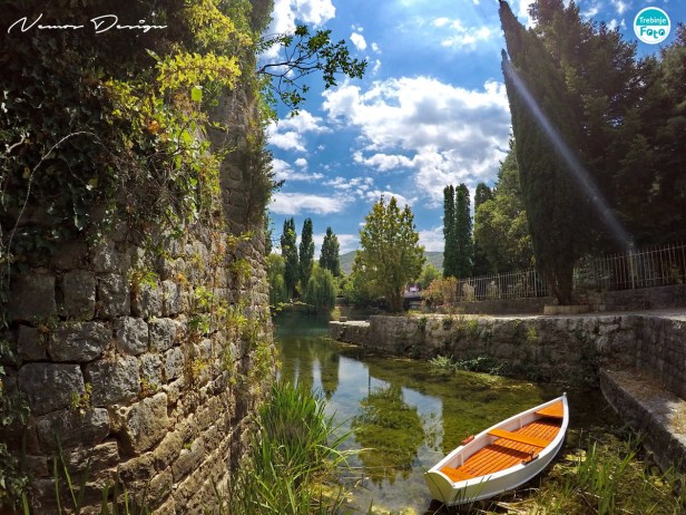 Nemos Design foto dana