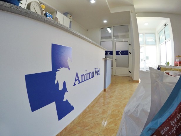 Trebinje info ANIMANET