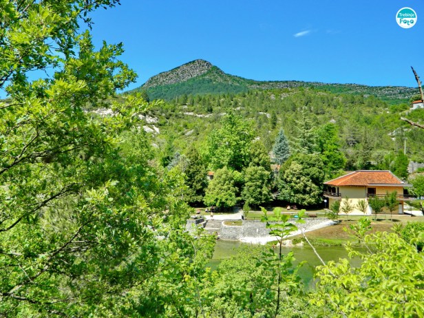 Jazina Club Trebinje Info