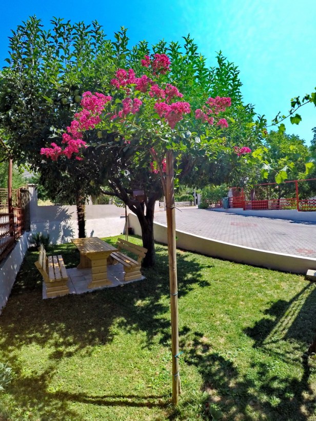 DCIM100GOPROGOPR7981.