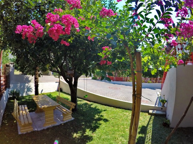 DCIM100GOPROGOPR7982.