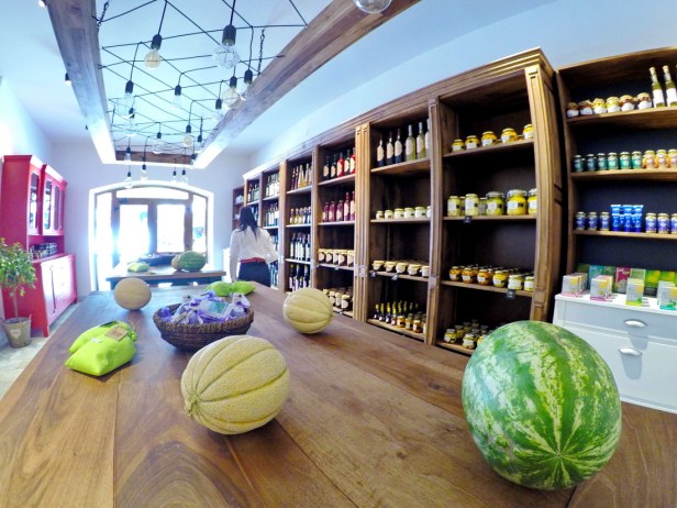 DCIM100GOPROGOPR8252.