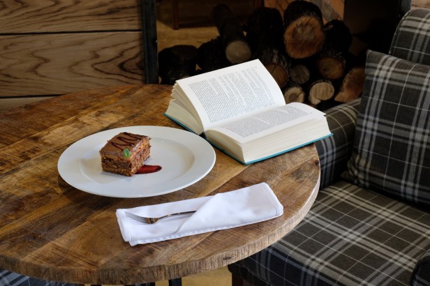 SWISSLION INDUSTRY HOTEL (78)