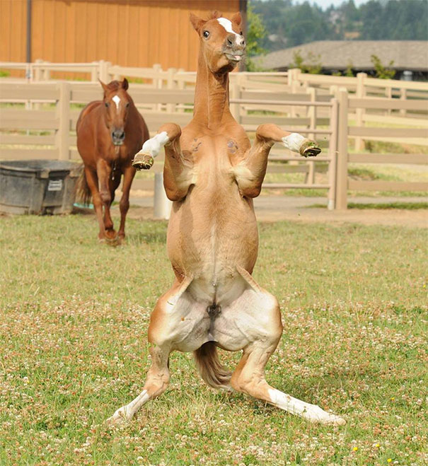 AD-Perfectly-Timed-Photos-That-Will-Mess-With-Your-Head-76