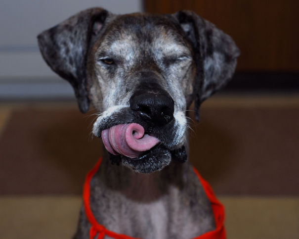 AD-Perfectly-Timed-Photos-That-Will-Mess-With-Your-Head-89