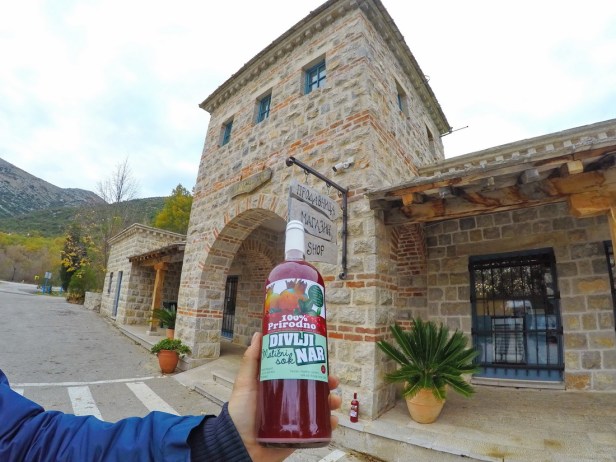 DCIM100GOPROGOPR9394