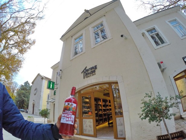 DCIM100GOPROGOPR9409