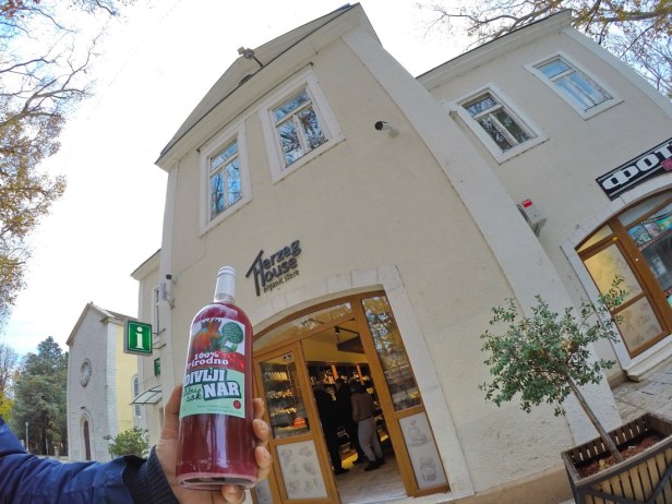 DCIM100GOPROGOPR9416