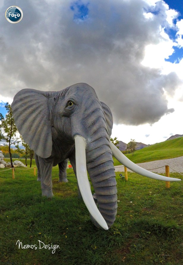 DCIM100GOPROGOPR2053.