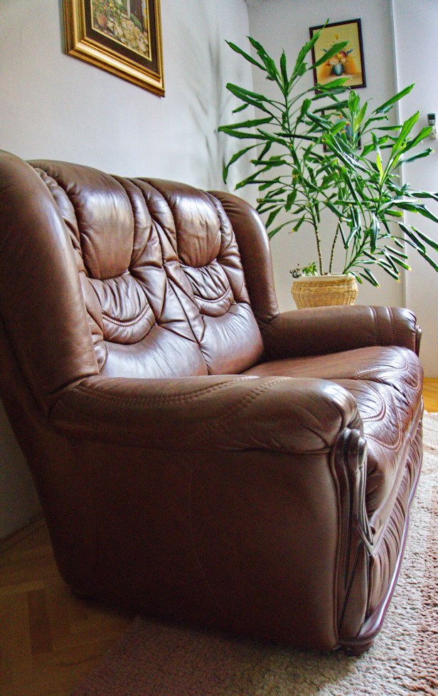 Kožni namještaj (1).jpg