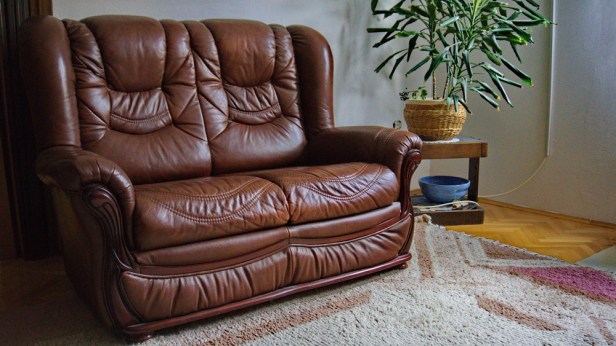 Kožni namještaj (3).jpg