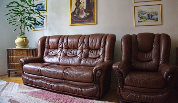 Kožni namještaj (6)