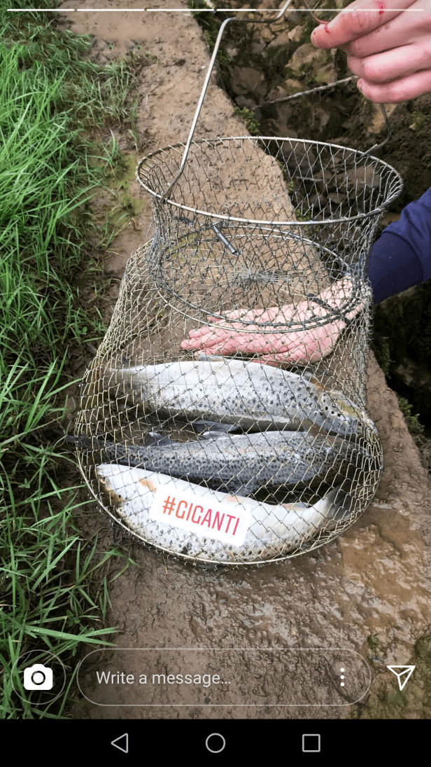 Screenshot_20180331-091133