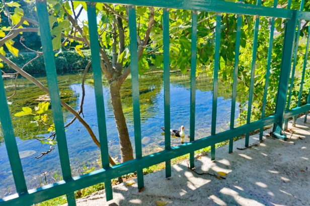 VINARIJA ĐELMO_16.JPG