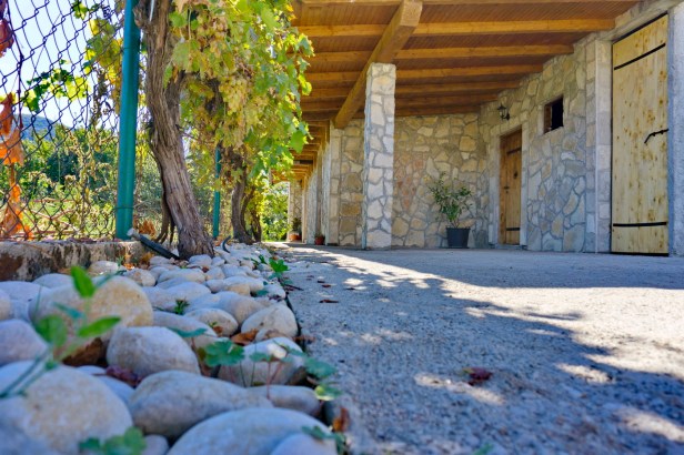 VINARIJA ĐELMO_8.JPG