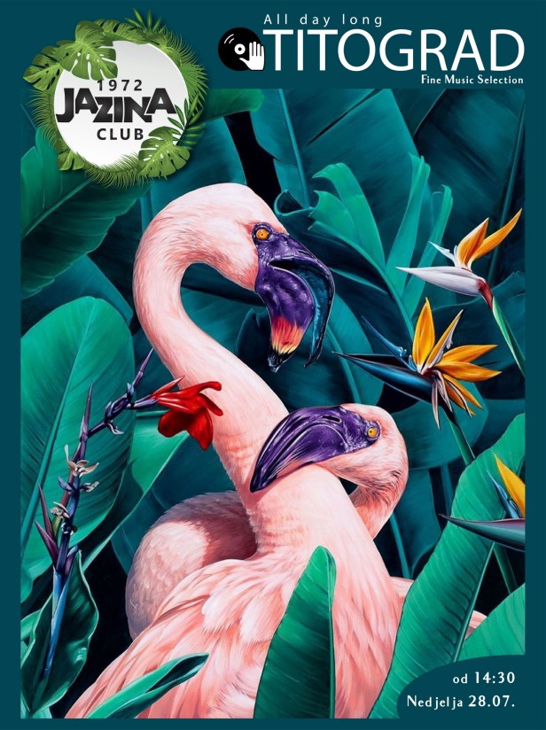 PLAKAT JAZINA pelikani-01.jpg