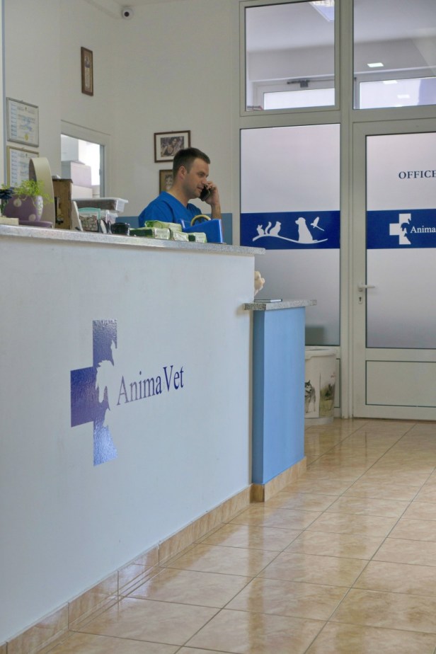 Animavet_58
