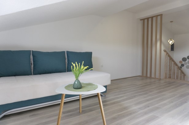 APARTMANI IVKOVIĆ_46