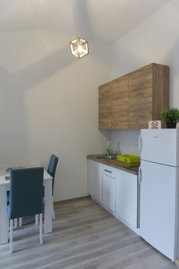 APARTMANI IVKOVIĆ_58